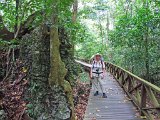 00395-1364 Walkway to Niah Cave